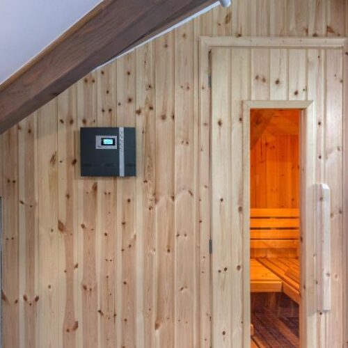 Suite with Sauna